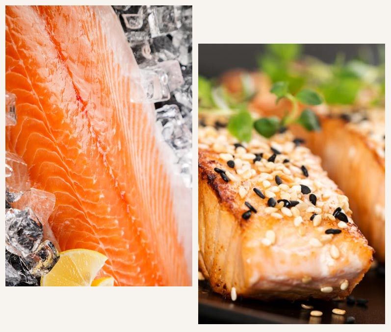 raza-carnes-fondo-carnes-res-pezcado